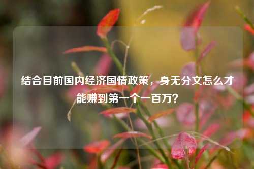 结合目前国内经济国情政策，身无分文怎么才能赚到第一个一百万？