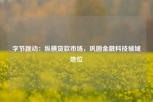 字节跳动：纵横贷款市场，巩固金融科技领域地位