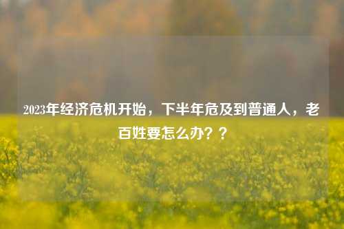 2023年经济危机开始，下半年危及到普通人，老百姓要怎么办？？