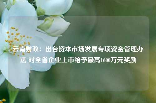 云南财政：出台资本市场发展专项资金管理办法 对全省企业上市给予最高1600万元奖励