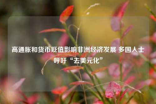 高通胀和货币贬值影响非洲经济发展 多国人士呼吁“去美元化”