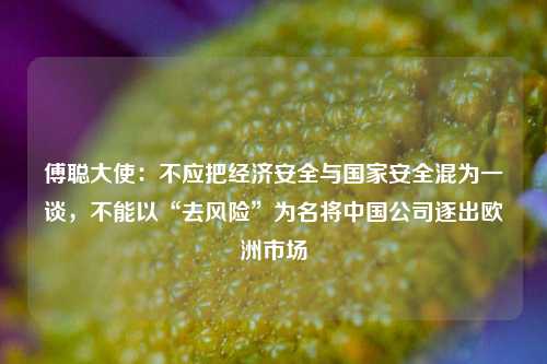 傅聪大使：不应把经济安全与国家安全混为一谈，不能以“去风险”为名将中国公司逐出欧洲市场