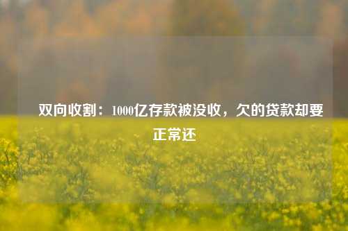 ​双向收割：1000亿存款被没收，欠的贷款却要正常还