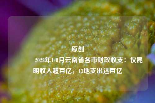 原创 2022年1-8月云南省各市财政收支：仅昆明收入超百亿，13地支出达百亿
