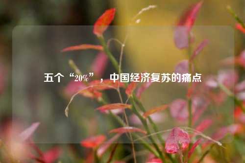 五个“20%”，中国经济复苏的痛点