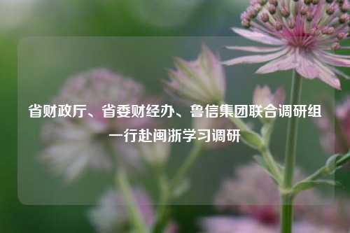 省财政厅、省委财经办、鲁信集团联合调研组一行赴闽浙学习调研