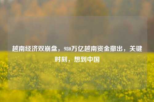 越南经济双崩盘，980万亿越南资金撤出，关键时刻，想到中国