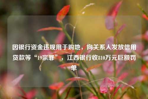 因银行资金违规用于购地，向关系人发放信用贷款等“19宗罪”，江西银行收810万元巨额罚单