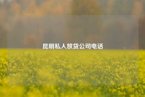 昆明私人放贷公司电话