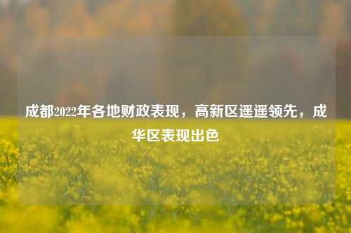 成都2022年各地财政表现，高新区遥遥领先，成华区表现出色