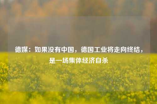 德媒：如果没有中国，德国工业将走向终结，是一场集体经济自杀