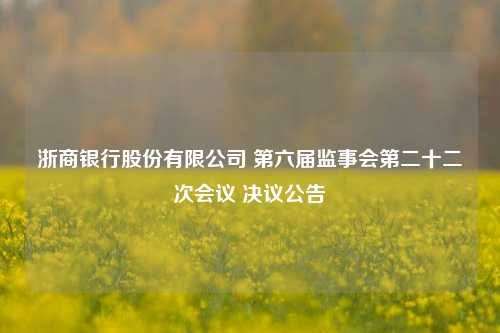 浙商银行股份有限公司 第六届监事会第二十二次会议 决议公告