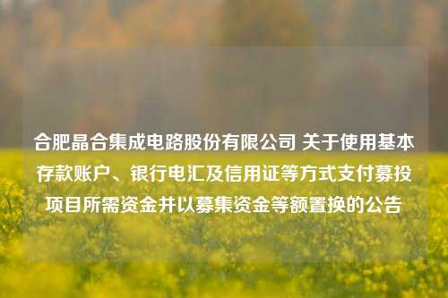 合肥晶合集成电路股份有限公司 关于使用基本存款账户、银行电汇及信用证等方式支付募投项目所需资金并以募集资金等额置换的公告