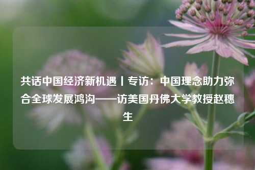 共话中国经济新机遇丨专访：中国理念助力弥合全球发展鸿沟——访美国丹佛大学教授赵穗生