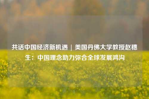 共话中国经济新机遇 | 美国丹佛大学教授赵穗生：中国理念助力弥合全球发展鸿沟