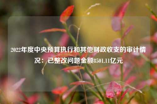 2022年度中央预算执行和其他财政收支的审计情况：已整改问题金额8501.11亿元