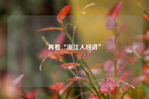 再看“浙江人经济”
