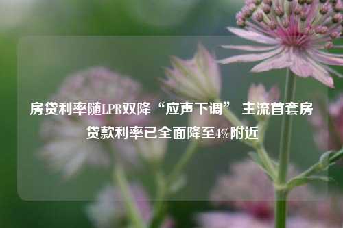 房贷利率随LPR双降“应声下调” 主流首套房贷款利率已全面降至4%附近