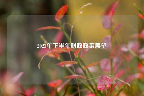 2023年下半年财政政策展望