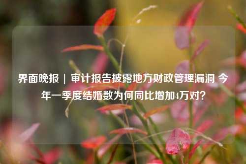 界面晚报 | 审计报告披露地方财政管理漏洞 今年一季度结婚数为何同比增加4万对？
