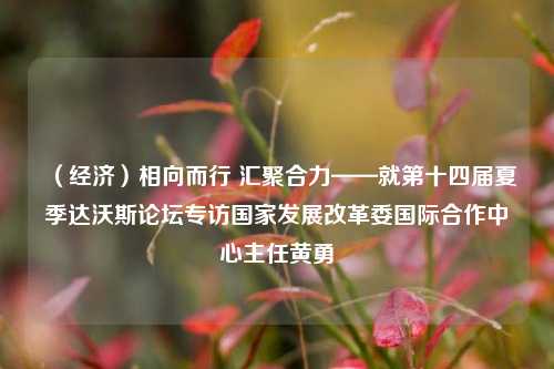 （经济）相向而行 汇聚合力——就第十四届夏季达沃斯论坛专访国家发展改革委国际合作中心主任黄勇