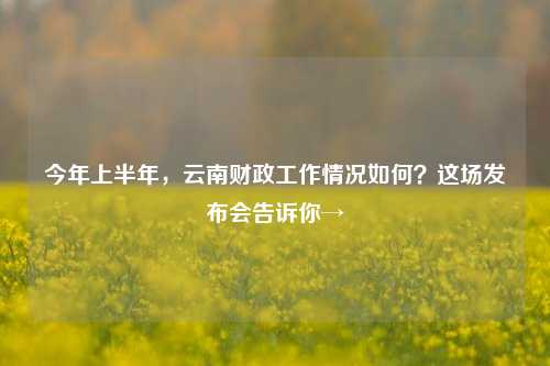 今年上半年，云南财政工作情况如何？这场发布会告诉你→