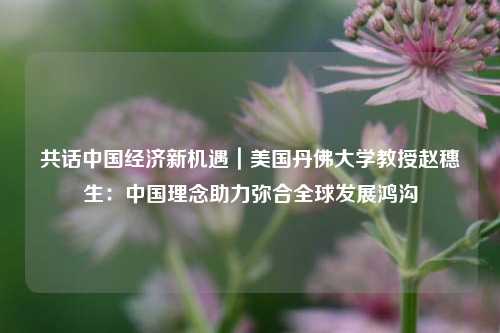 共话中国经济新机遇｜美国丹佛大学教授赵穗生：中国理念助力弥合全球发展鸿沟