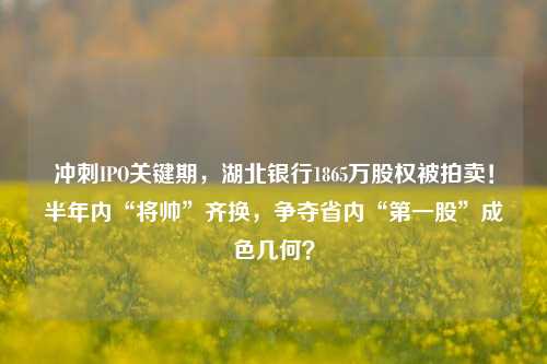 冲刺IPO关键期，湖北银行1865万股权被拍卖！半年内“将帅”齐换，争夺省内“第一股”成色几何？