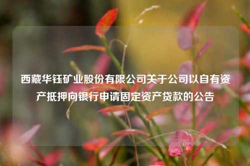西藏华钰矿业股份有限公司关于公司以自有资产抵押向银行申请固定资产贷款的公告