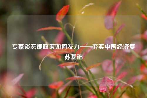专家谈宏观政策如何发力——夯实中国经济复苏基础