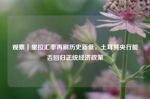 观察｜里拉汇率再刷历史新低，土耳其央行能否回归正统经济政策