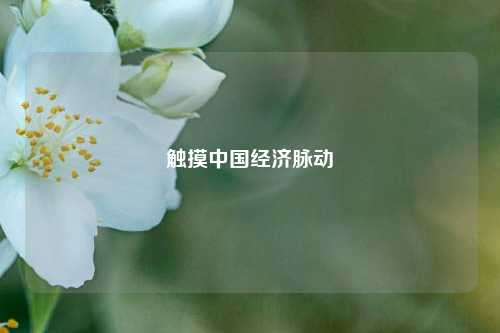 触摸中国经济脉动