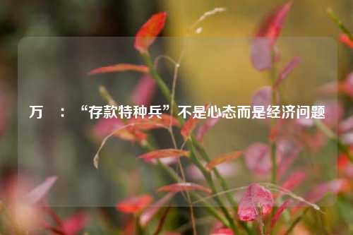万喆：“存款特种兵”不是心态而是经济问题