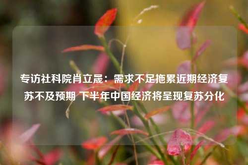 专访社科院肖立晟：需求不足拖累近期经济复苏不及预期 下半年中国经济将呈现复苏分化