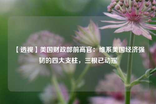 【透视】美国财政部前高官：维系美国经济强韧的四大支柱，三根已动摇