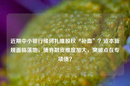近期中小银行缘何扎堆股权“补血”？资本新规面临落地，债券融资难度加大，突破点在专项债？