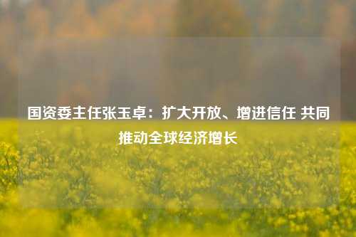 国资委主任张玉卓：扩大开放、增进信任 共同推动全球经济增长