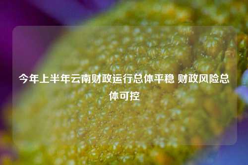 今年上半年云南财政运行总体平稳 财政风险总体可控