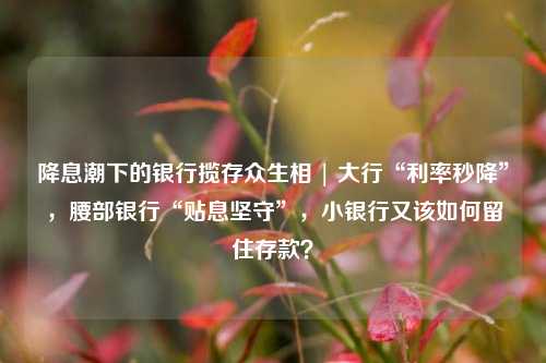 降息潮下的银行揽存众生相 | 大行“利率秒降”，腰部银行“贴息坚守”，小银行又该如何留住存款？