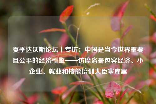 夏季达沃斯论坛丨专访：中国是当今世界重要且公平的经济引擎——访摩洛哥包容经济、小企业、就业和技能培训大臣塞库里