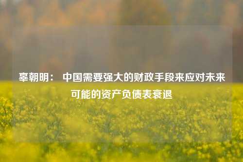 辜朝明： 中国需要强大的财政手段来应对未来可能的资产负债表衰退