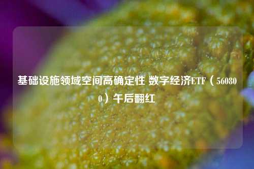 基础设施领域空间高确定性 数字经济ETF（560800）午后翻红