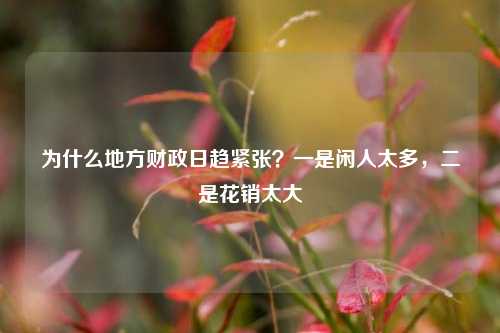 为什么地方财政日趋紧张？一是闲人太多，二是花销太大