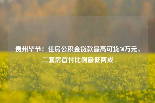 贵州毕节：住房公积金贷款最高可贷50万元，二套房首付比例最低两成