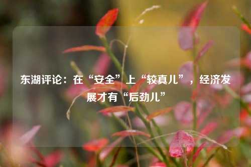 东湖评论：在“安全”上“较真儿”，经济发展才有“后劲儿”