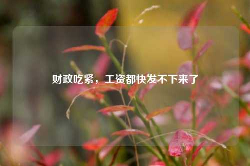 财政吃紧，工资都快发不下来了
