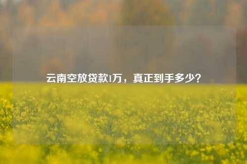 云南空放贷款1万，真正到手多少？