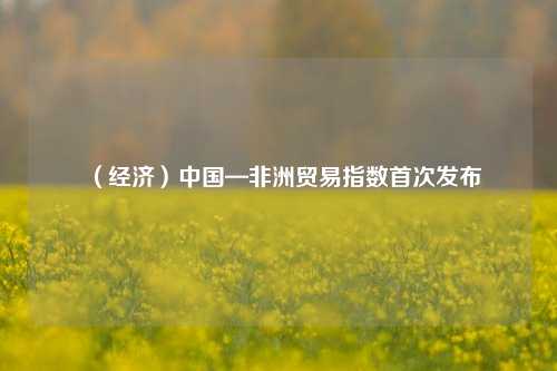 （经济）中国—非洲贸易指数首次发布