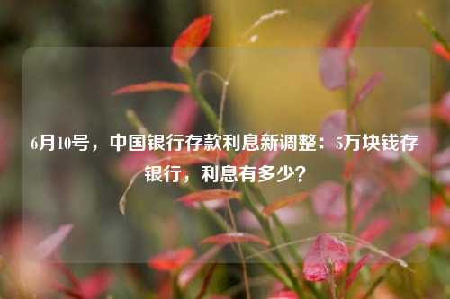 6月10号，中国银行存款利息新调整：5万块钱存银行，利息有多少？