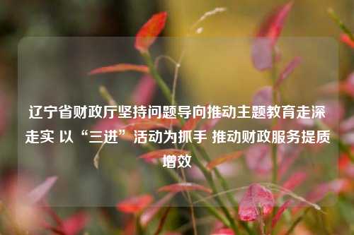 辽宁省财政厅坚持问题导向推动主题教育走深走实 以“三进”活动为抓手 推动财政服务提质增效